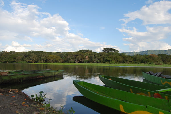 Canoas a la orilla de la Charca de Guarinocito