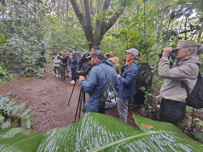 observadores de aves durante el congreso