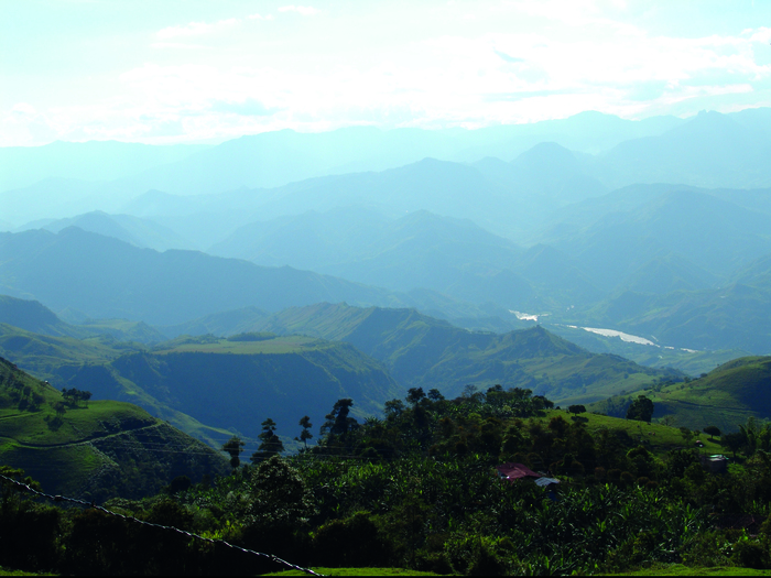 dia educación ambiental