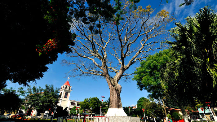 victoria municipio magdalena caldense