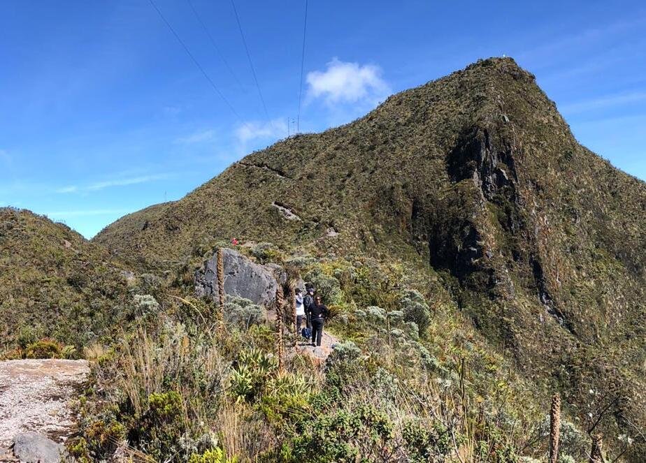 imagen cerro_bravo