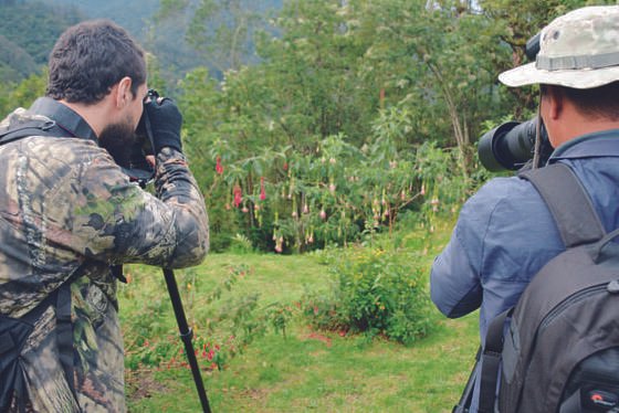 observadores de aves