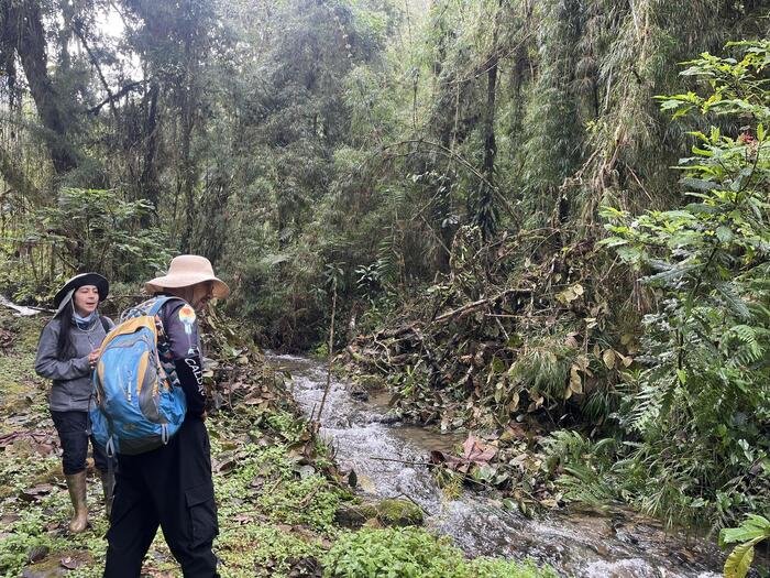 observadores río blanco