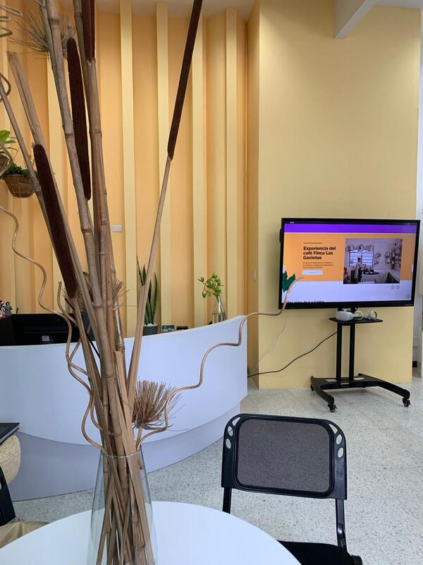 aspectos de la decoración del punto de información turistica de caldas