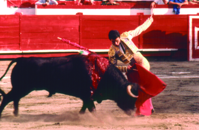 faena de corrida de toros donde se ve al toro torero y caporte