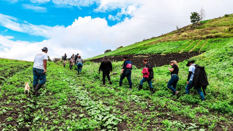 un grupo de personas hacen senderismo en una vereda de villamaria