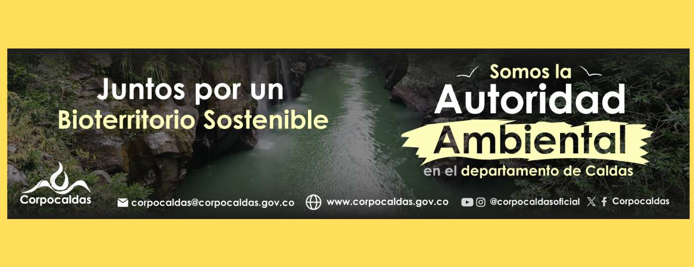 publicidad corpocaldas