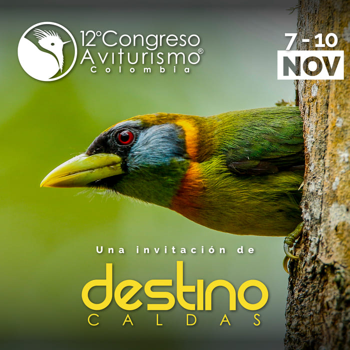 ave propia de la region del congreso de aviturismo