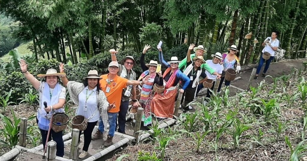 grupo de personas en medio de cafetales