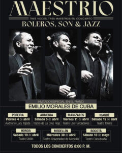 pieza grafica concierto