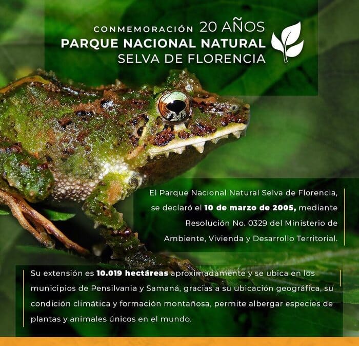 Selva de Florencia-Caldas