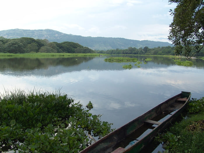 charca de guarinocito