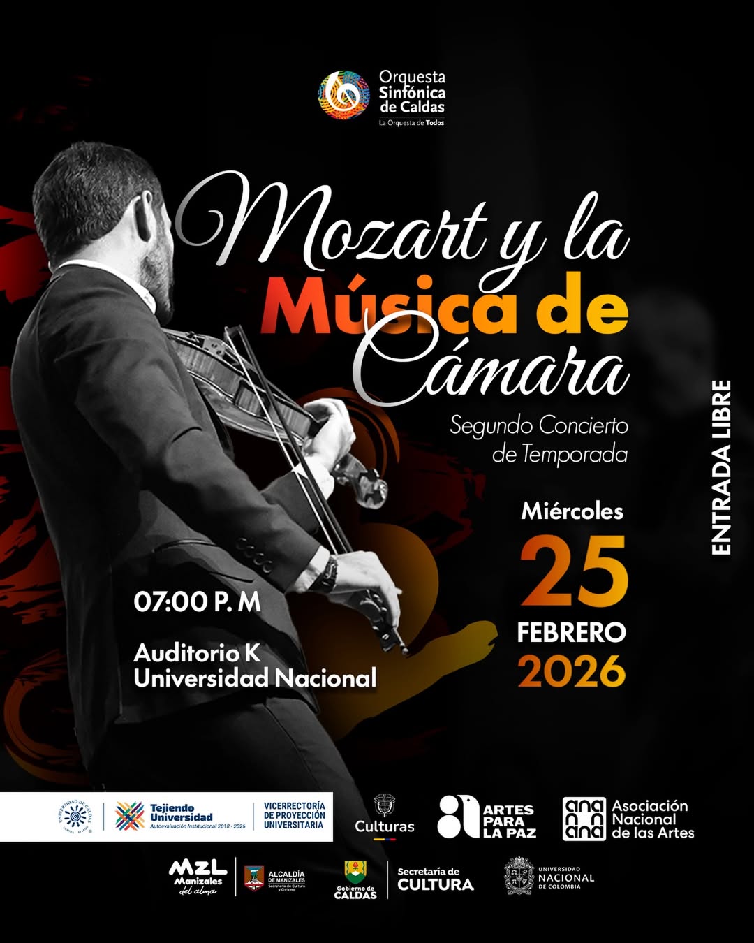 pieza gráfica de concierto