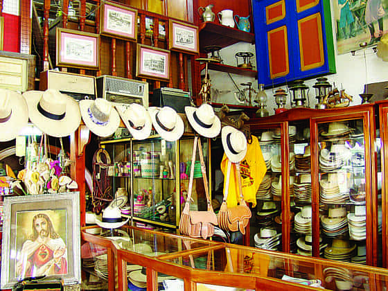 icinos región norte de caldas