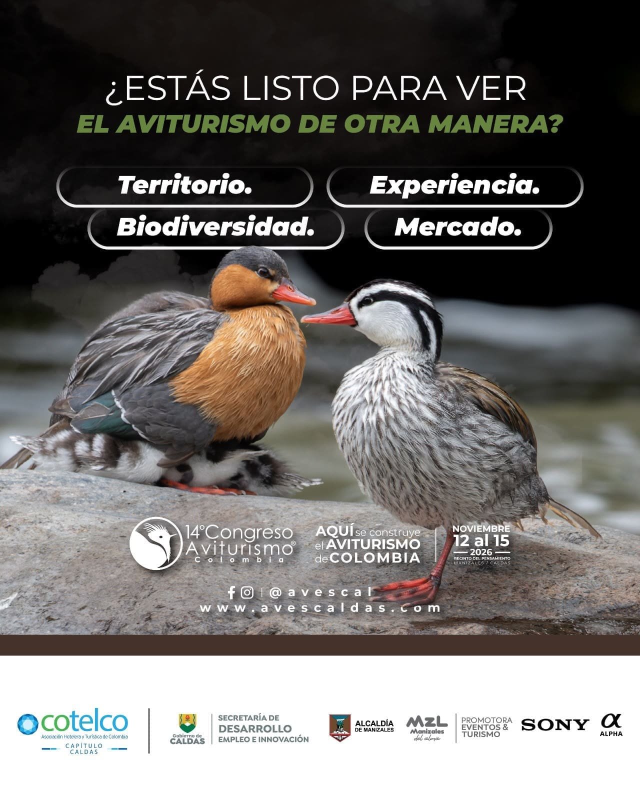 imagen gráfica del congreso de aviturismo