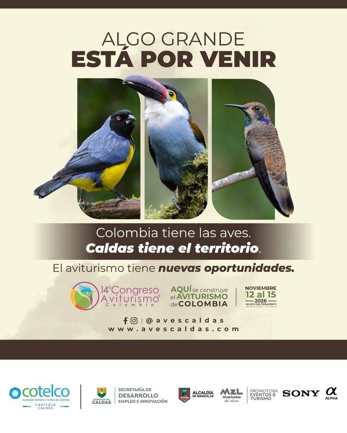 Manizales se prepara para el 14° Congreso de Aviturismo