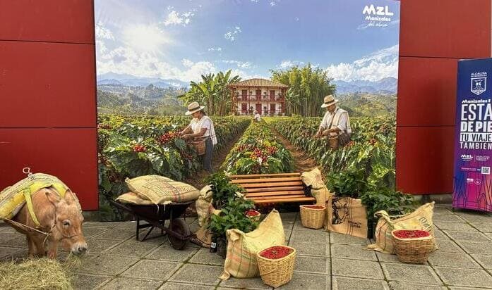 exposición cafes